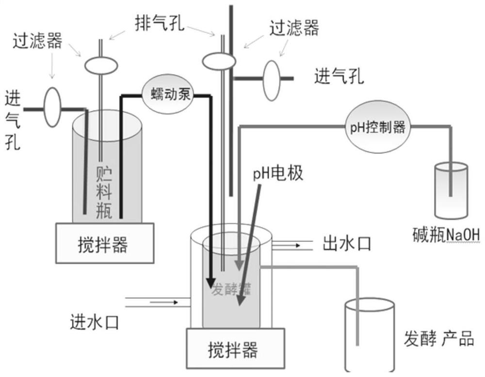 A method for in vitro preservation of pig intestinal chyme microbiome