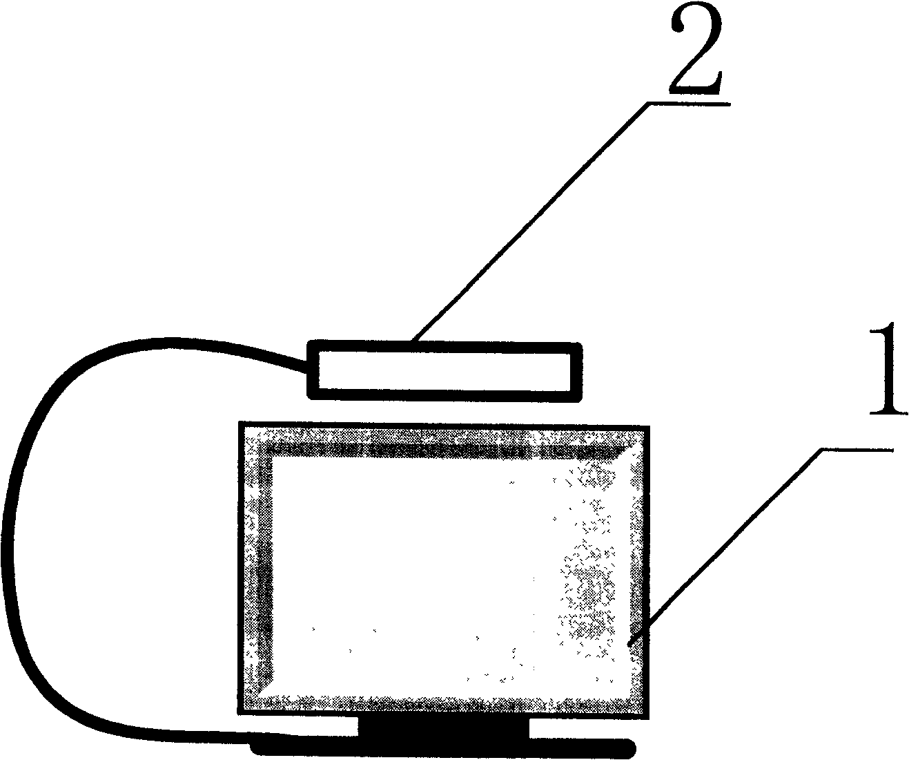 Interactive service terminal, realization system and method