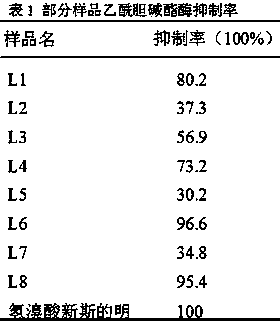 Thiazolotriazole-6-acetamide derivatives and their application