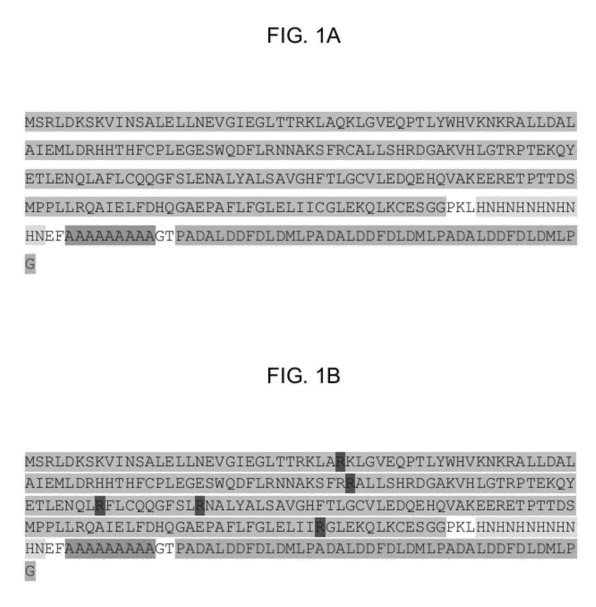 Inducible expression system transcription modulators comprising a distributed protein transduction domain and methods for using the same