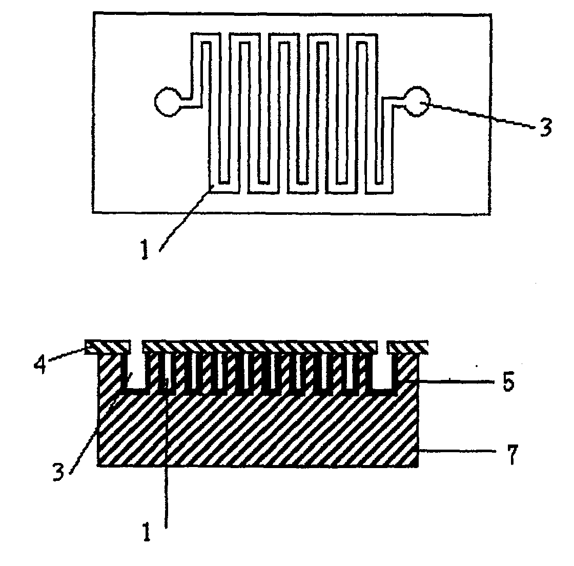 Preprocessed chip of porous silica microfluid sample