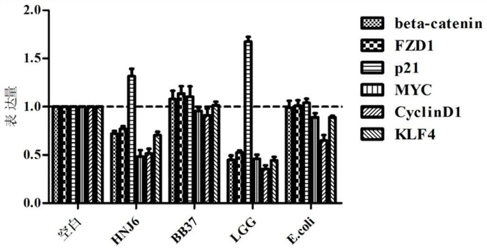 A kind of Bifidobacterium bifidum capable of alleviating colorectal cancer and its application