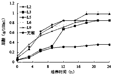 Method for purely fermenting chili sauce by utilizing leuconostoc mesenteroides