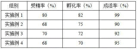 Artificial breeding method for wild lampetra morii