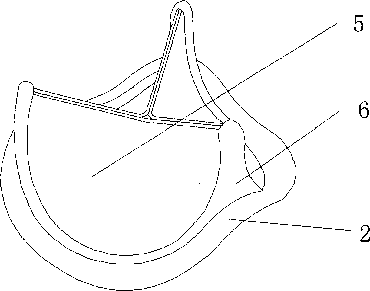 Elastic artificial biological heart valve