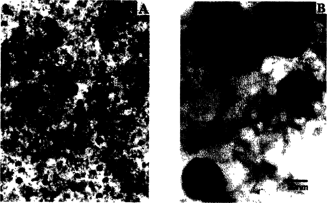 Method for preparing carbon coated nano metal material using biological material-starch as substrate