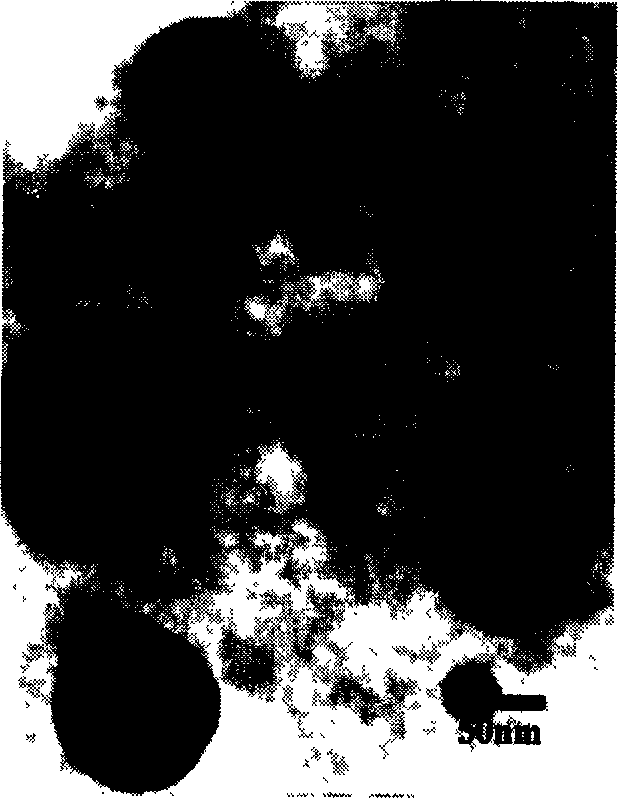 Method for preparing carbon coated nano metal material using biological material-starch as substrate