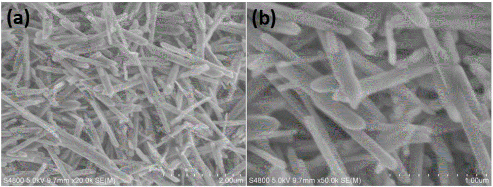 Rodlike manganese dioxide/polyaniline composite material as well as preparation method and application of rodlike manganese dioxide