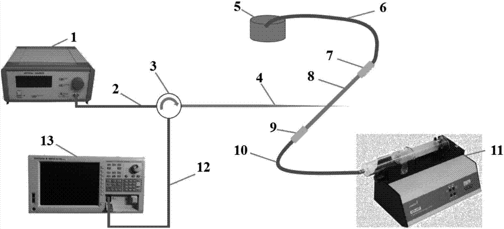 In-fiber detection system for biological molecules based on pohotonic crystal fiber