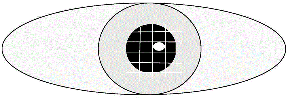 Pupil positioning method and equipment