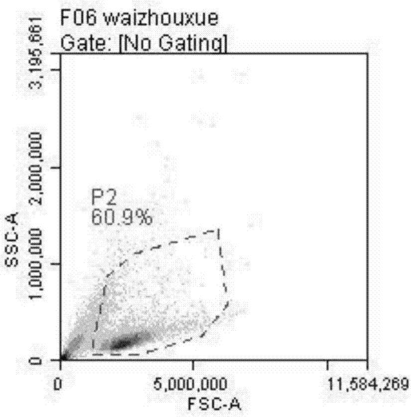 Method for in vitro activating and amplifying natural killer cells