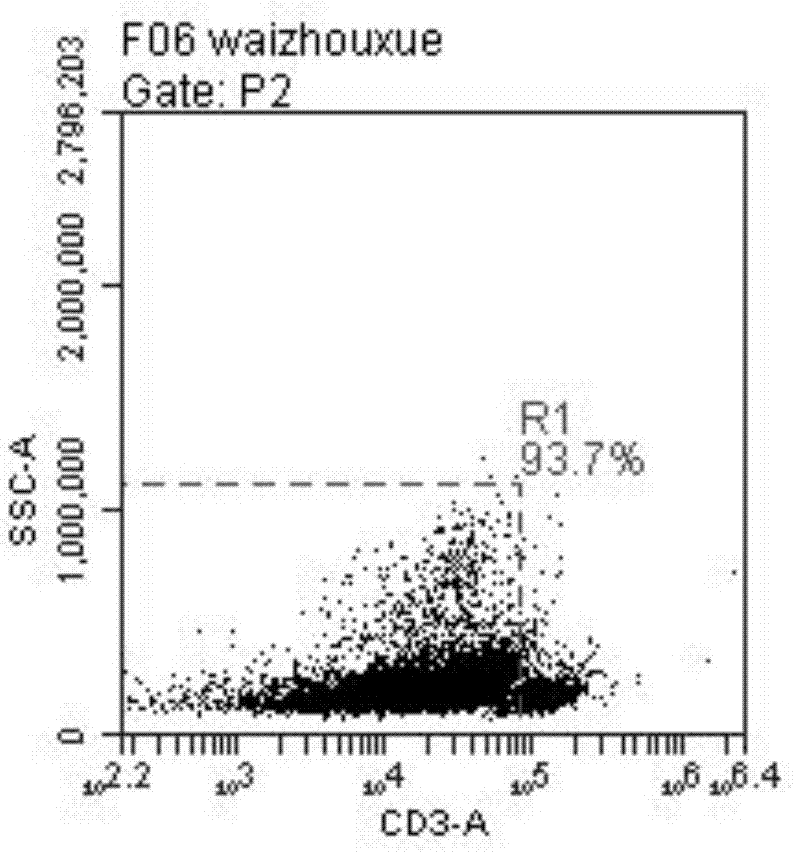 Method for in vitro activating and amplifying natural killer cells