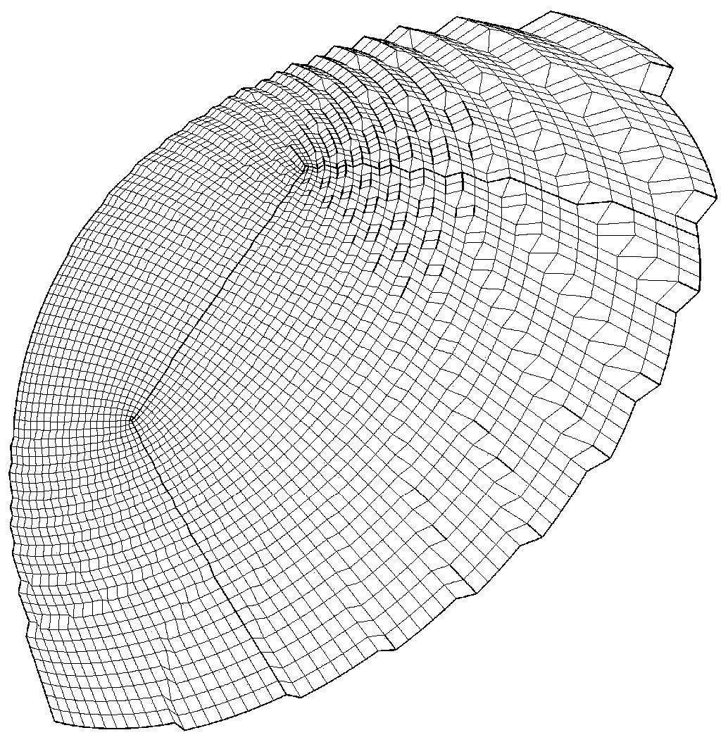 Blunt body flow field shock wave self-adaptive structure grid generation method