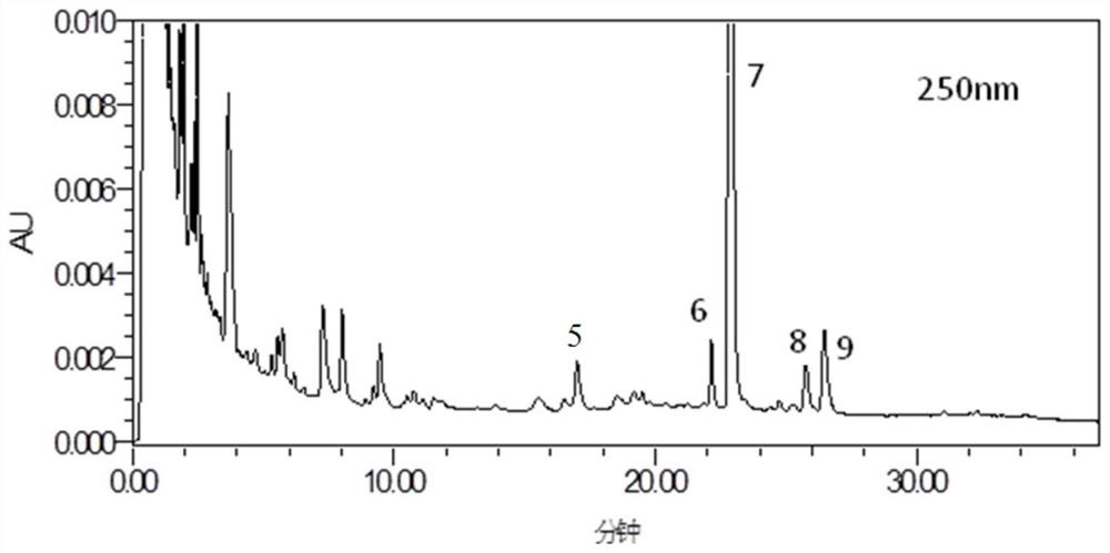 Method for detecting bupleurum chinense and vinegar-processed bupleurum chinense formula granules