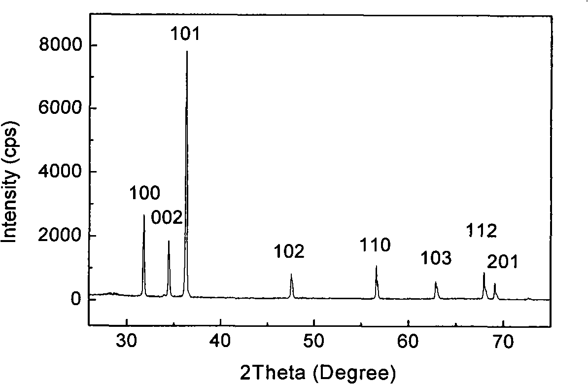 Method for preparing room-temperature ferromagnetic Fe doped ZnO nanometer wire