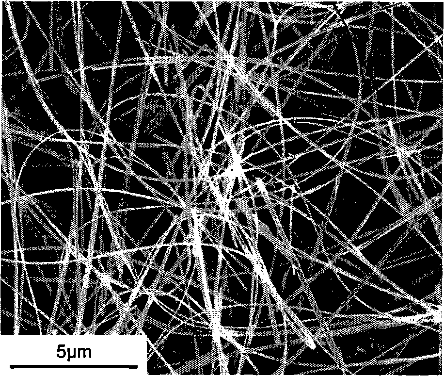 Method for preparing room-temperature ferromagnetic Fe doped ZnO nanometer wire