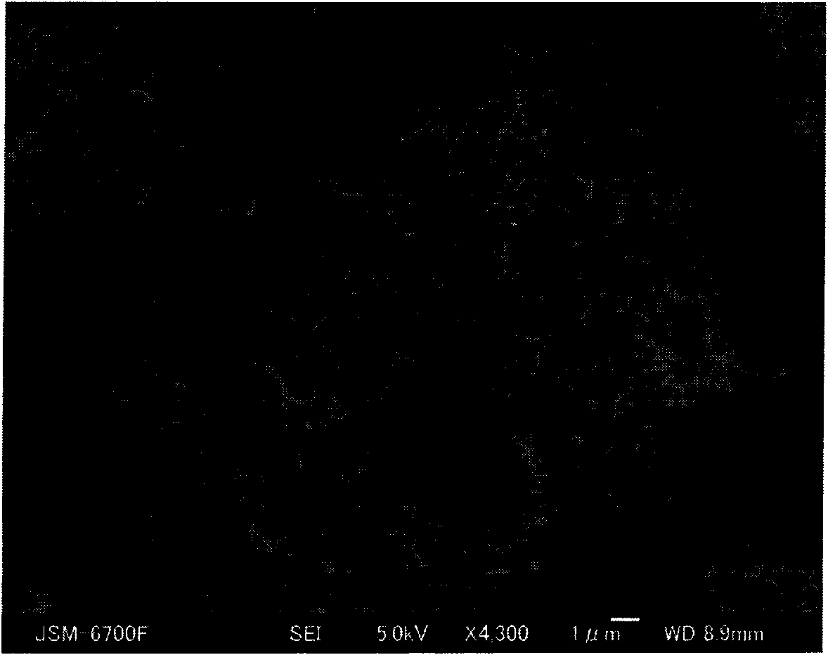 Composite cathode material of lithium ion battery and preparation method thereof