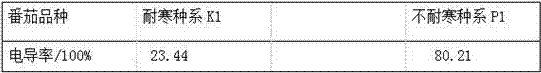 Rapid screening method for identification of tomato cold resistance and application