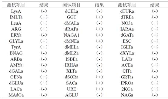 A strain of Rhodotorula biobversus producing carotenoids and its application