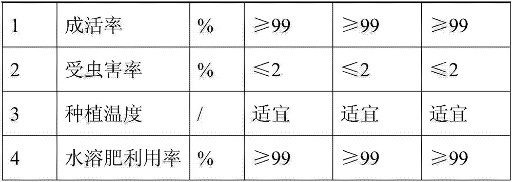 Brassica campestris soilless cultivation method