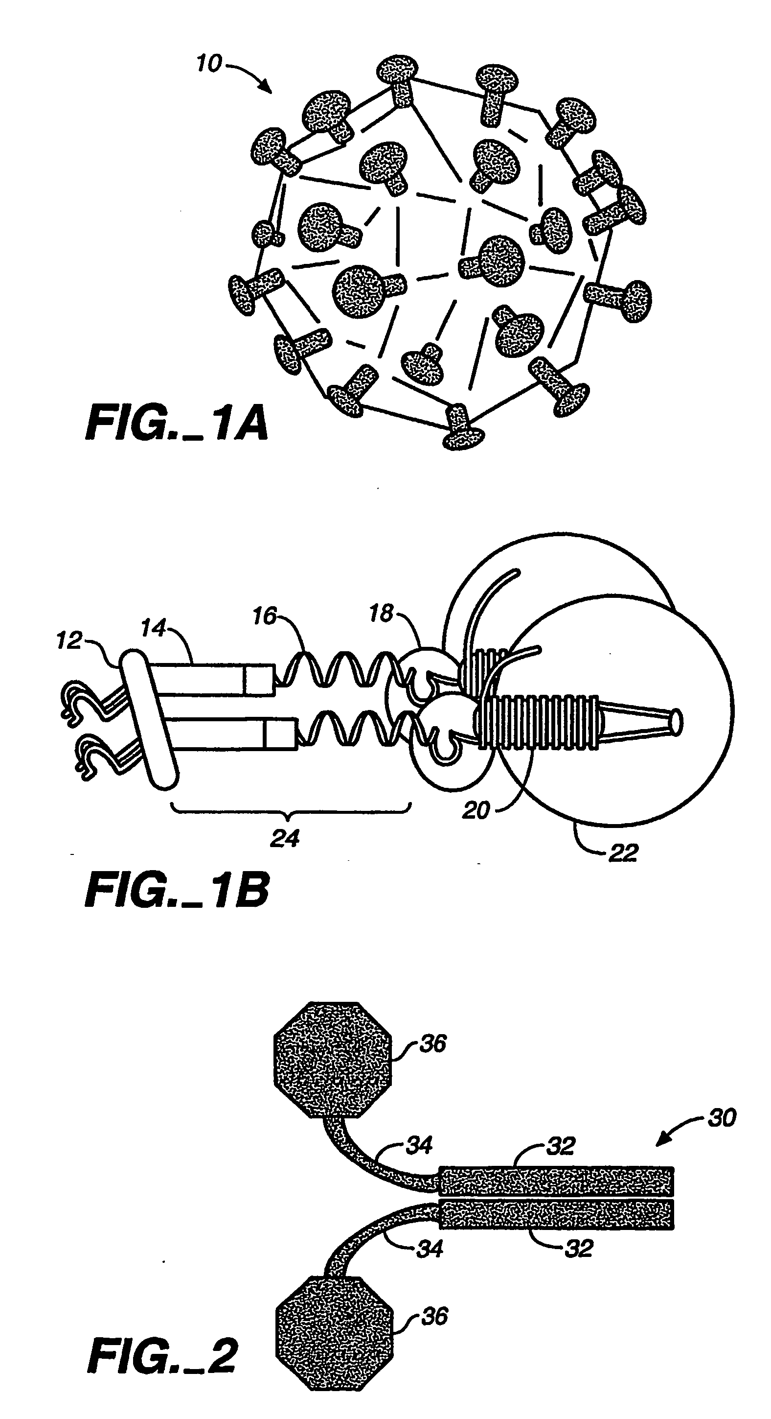 Composition and method for enhancing immune response