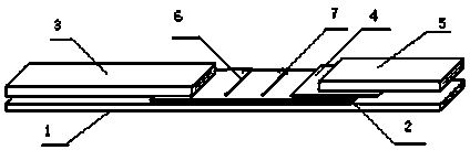 Haemophilus parasuis test paper strip and preparation method thereof