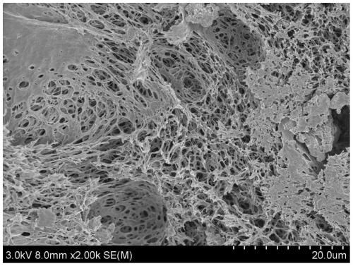 Hydrotalcite-plant cellulose composite pellets and preparation method and application thereof