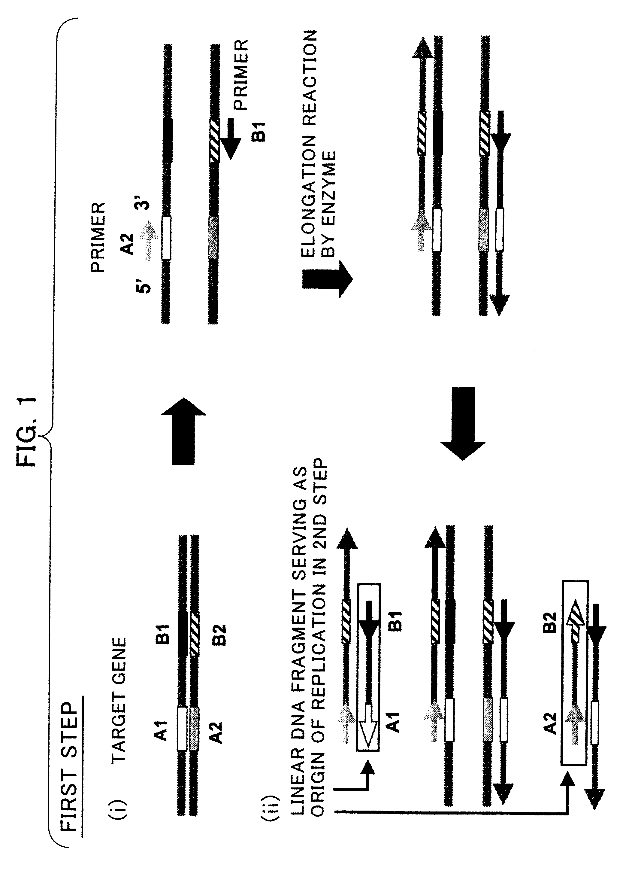 Nucleic Acid Amplification Method