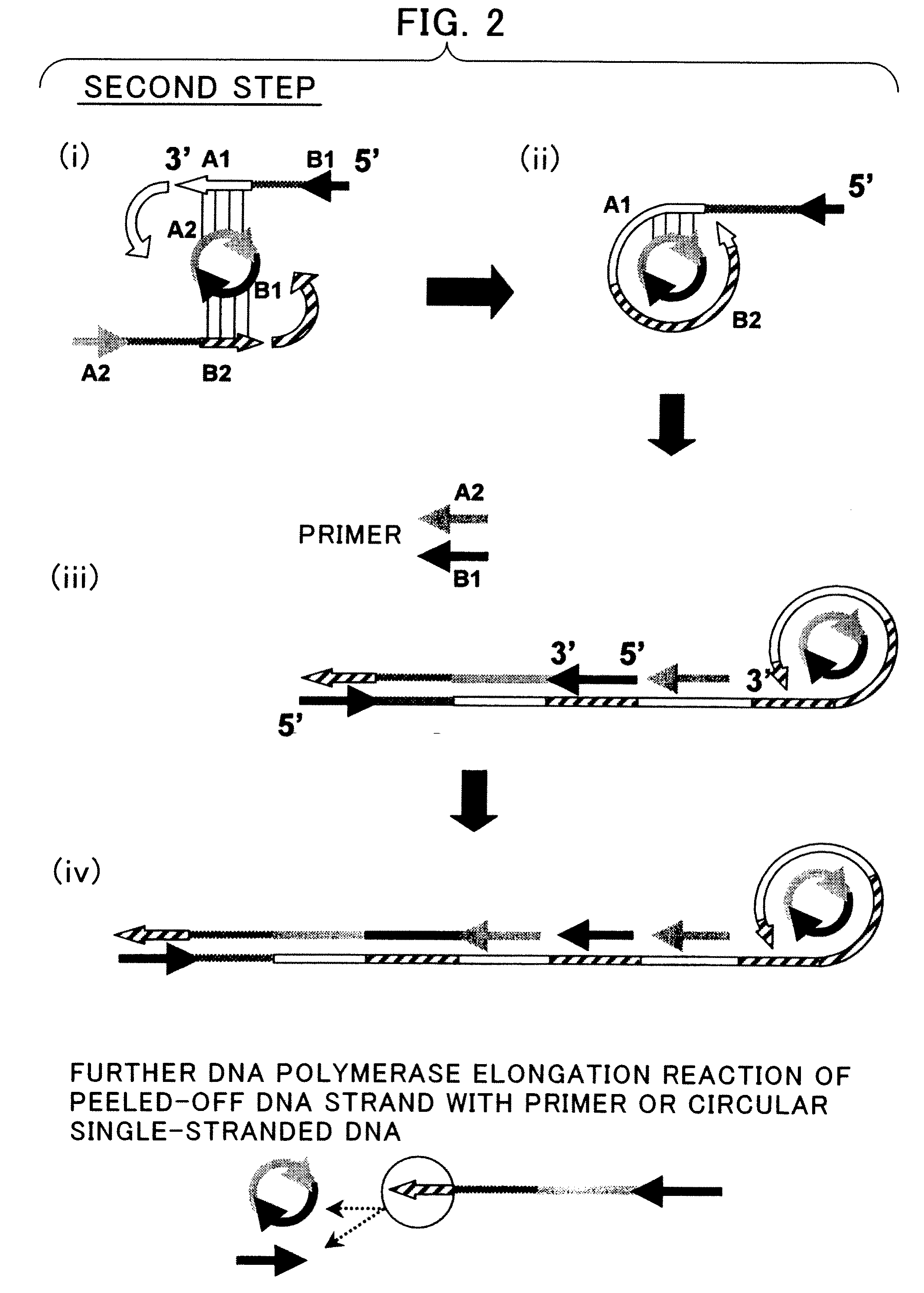 Nucleic Acid Amplification Method