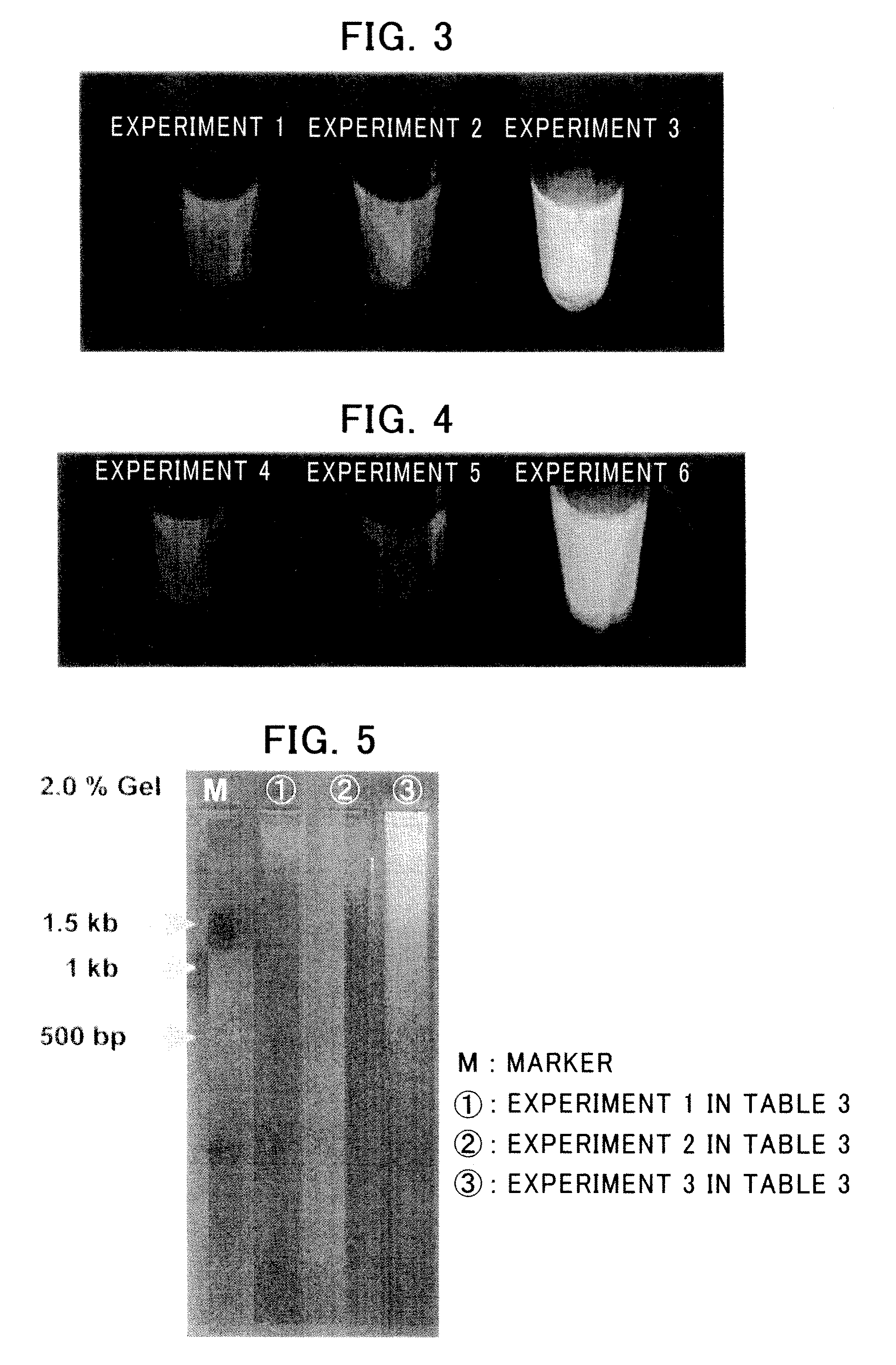 Nucleic Acid Amplification Method