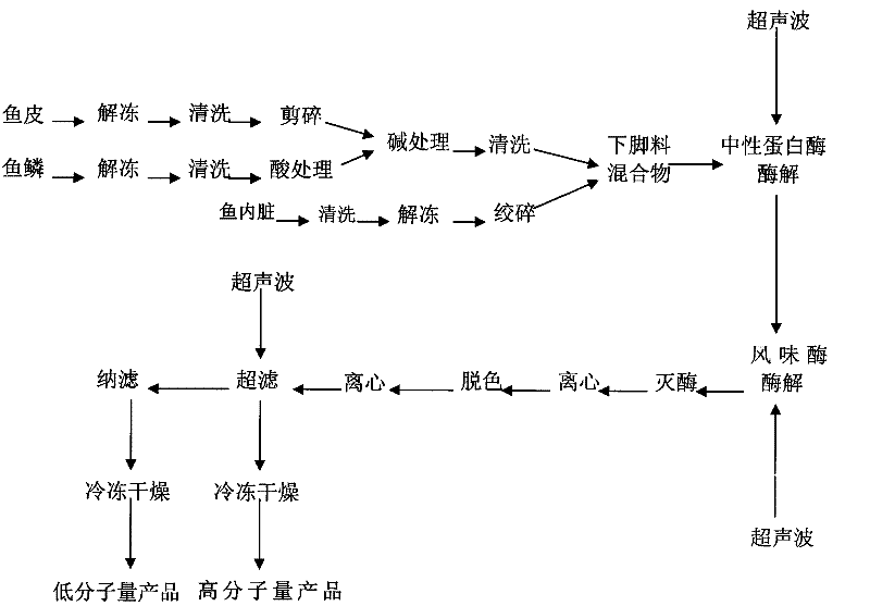 Method for processing collagen peptide by using fish leftovers