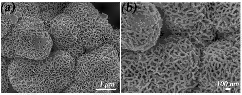 Preparation method of super-hydrophobic powder based on flower-shaped iron-containing manganese dioxide and capable of being simultaneously used for emulsion separation and dye adsorption