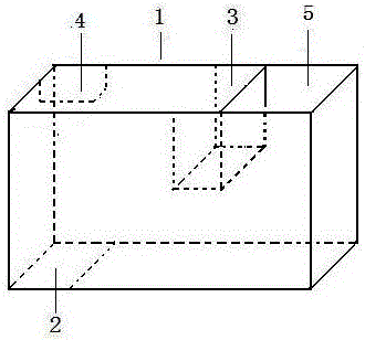 Seed sowing device used for rotary barrel type seeder