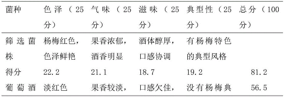 Saccharomyces cerevisiae strain and high quality red bayberry fruit wine preparation method