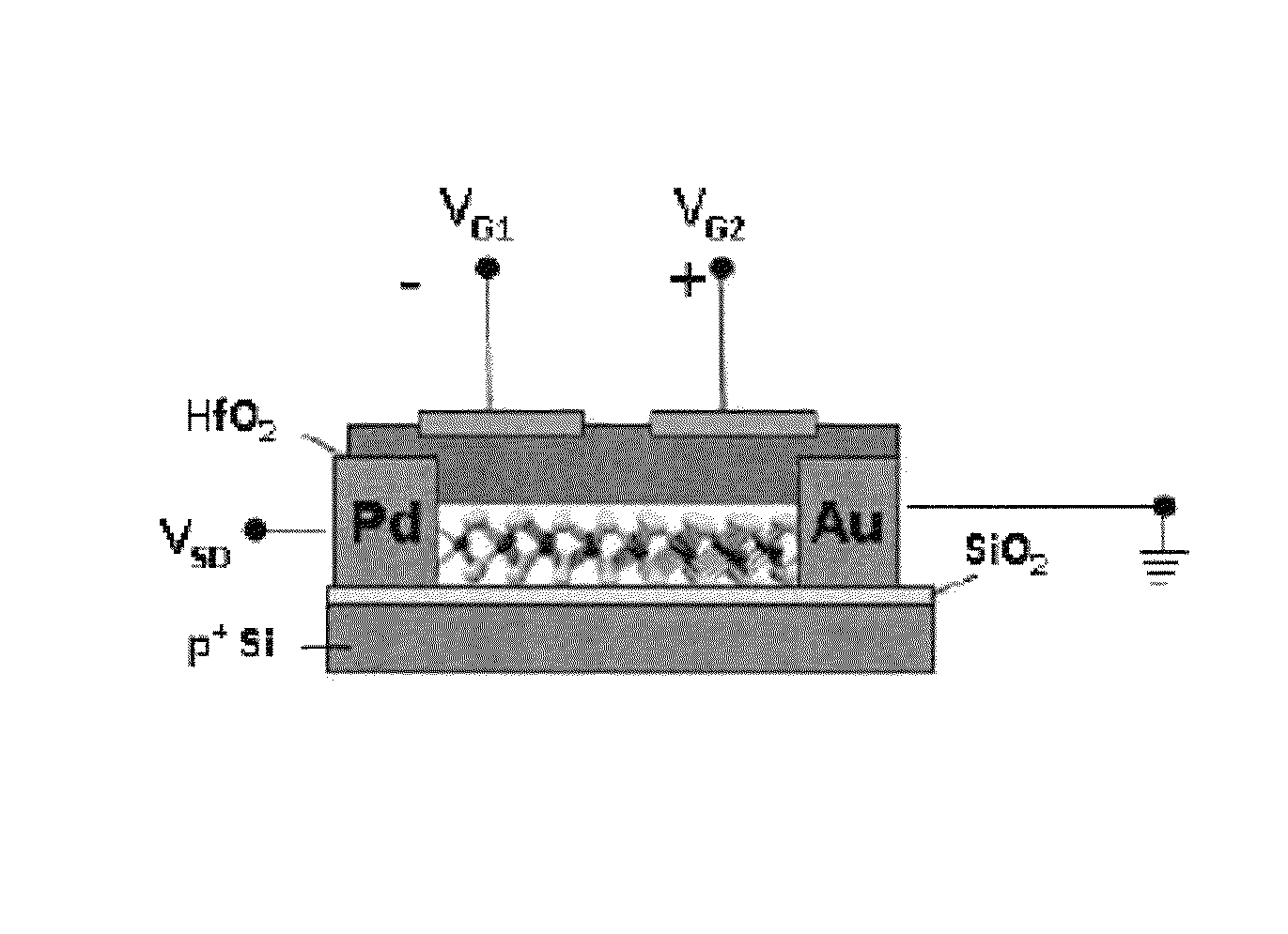 Method and system for generating a photo-response from MoS<sub>2 </sub>Schottky junctions