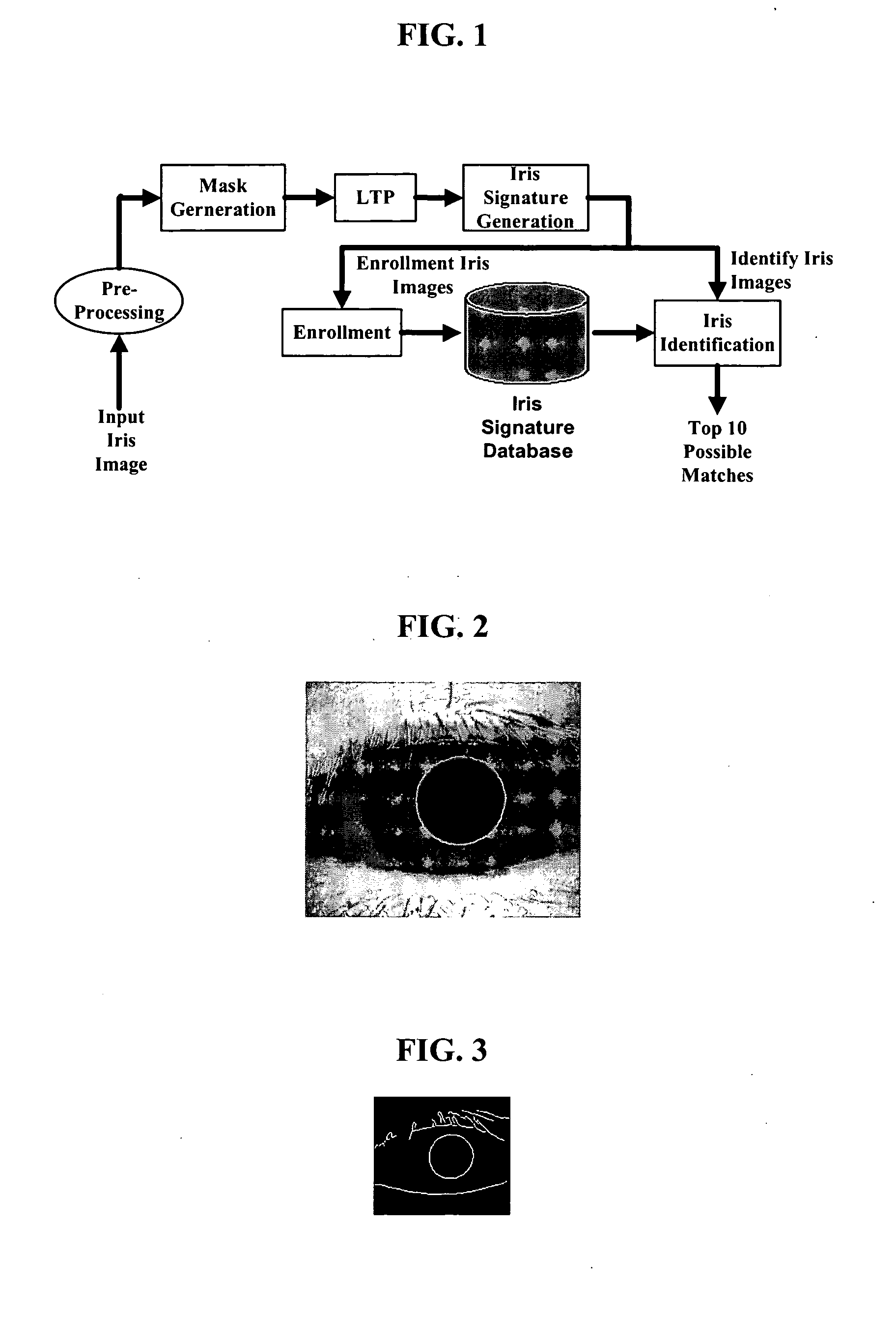 One-dimensional iris signature generation system and method