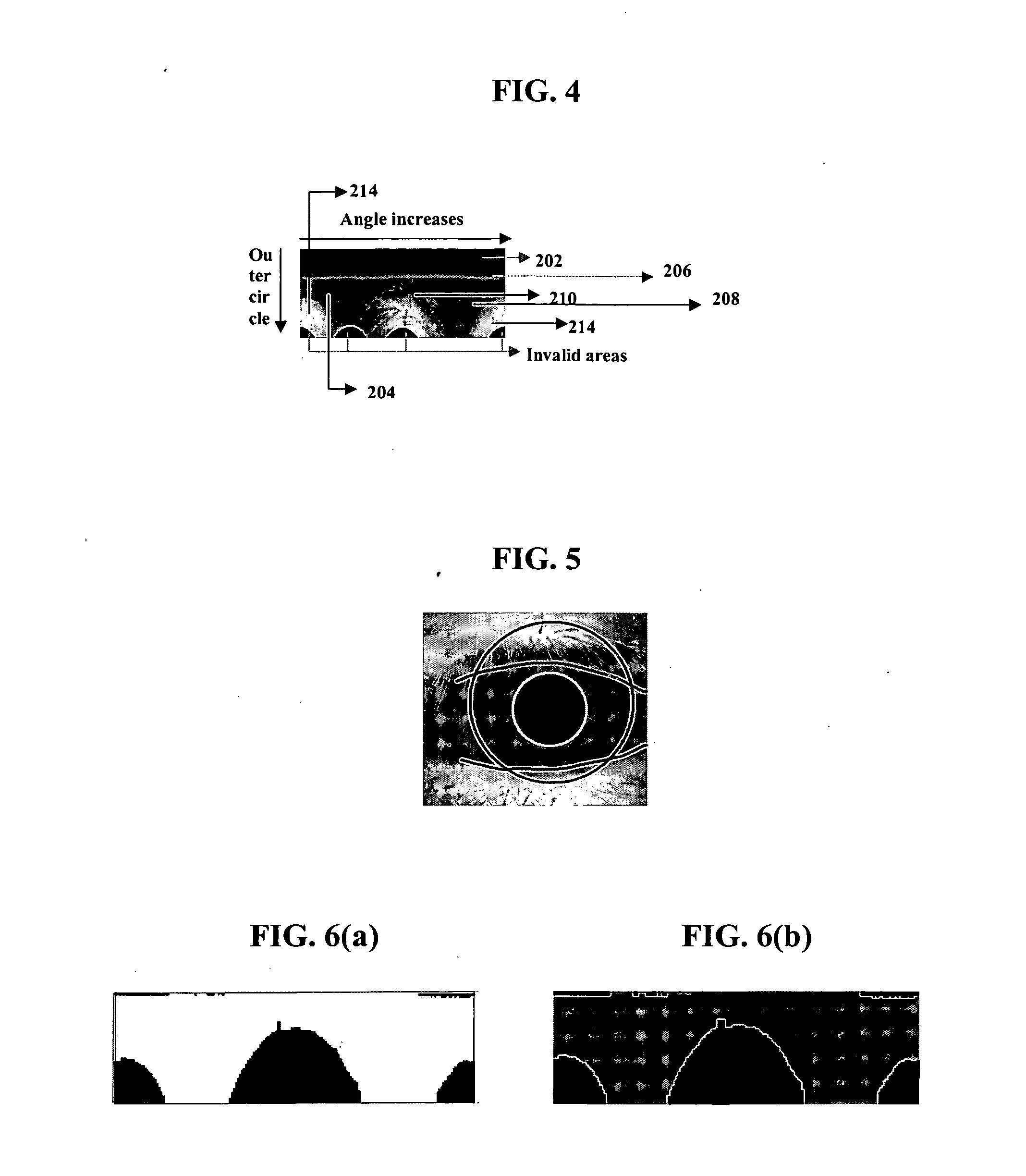 One-dimensional iris signature generation system and method