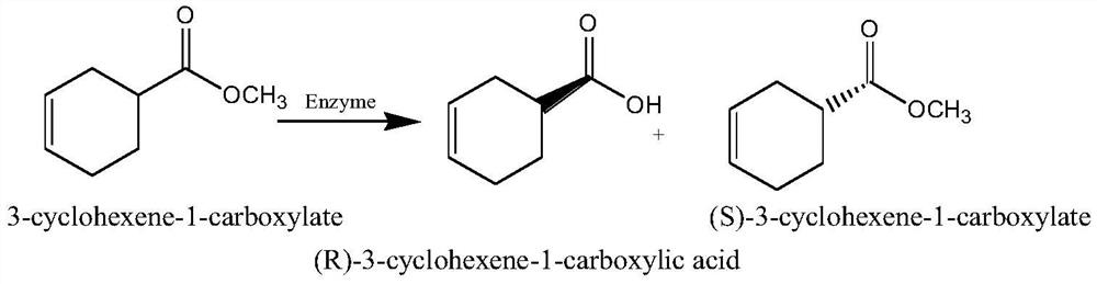 Method for resolving optical isomers by electrodialysis technology