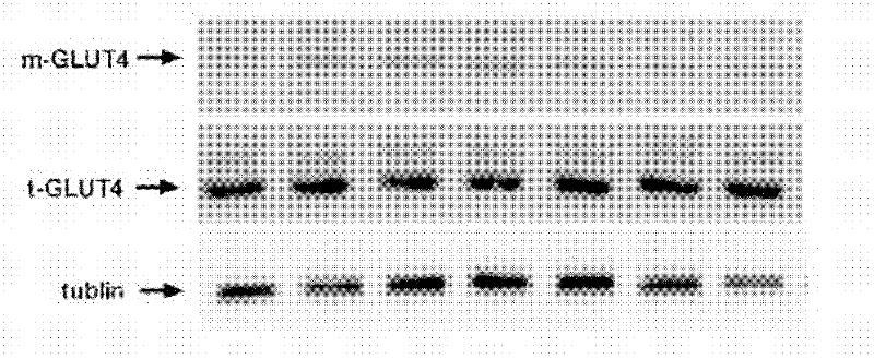 A new application of κ-opioid receptor agonist