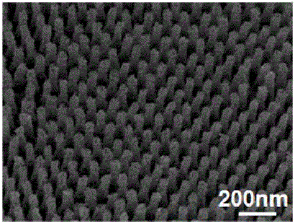 Ordered porous gold nanorod array and preparation method and application thereof