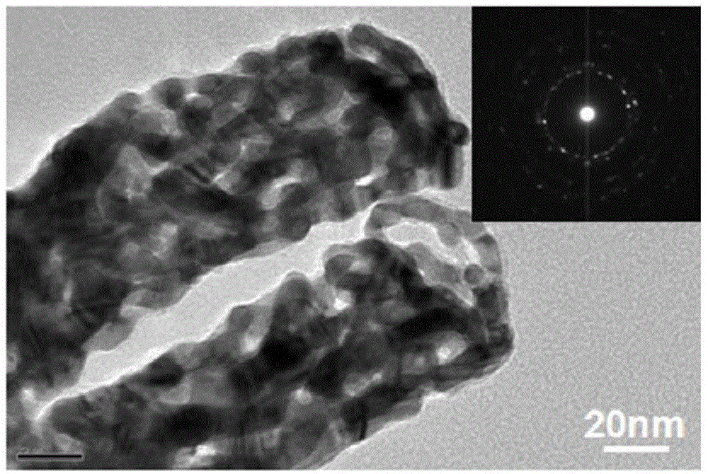 Ordered porous gold nanorod array and preparation method and application thereof