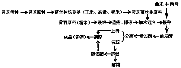 Production method of ganoderma lucidum mycelium-pretreated health-care yellow rice wine