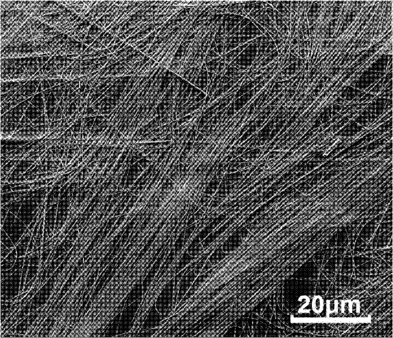 Nano silver-containing trimolybdate and preparation method and use thereof as antibacterial agent