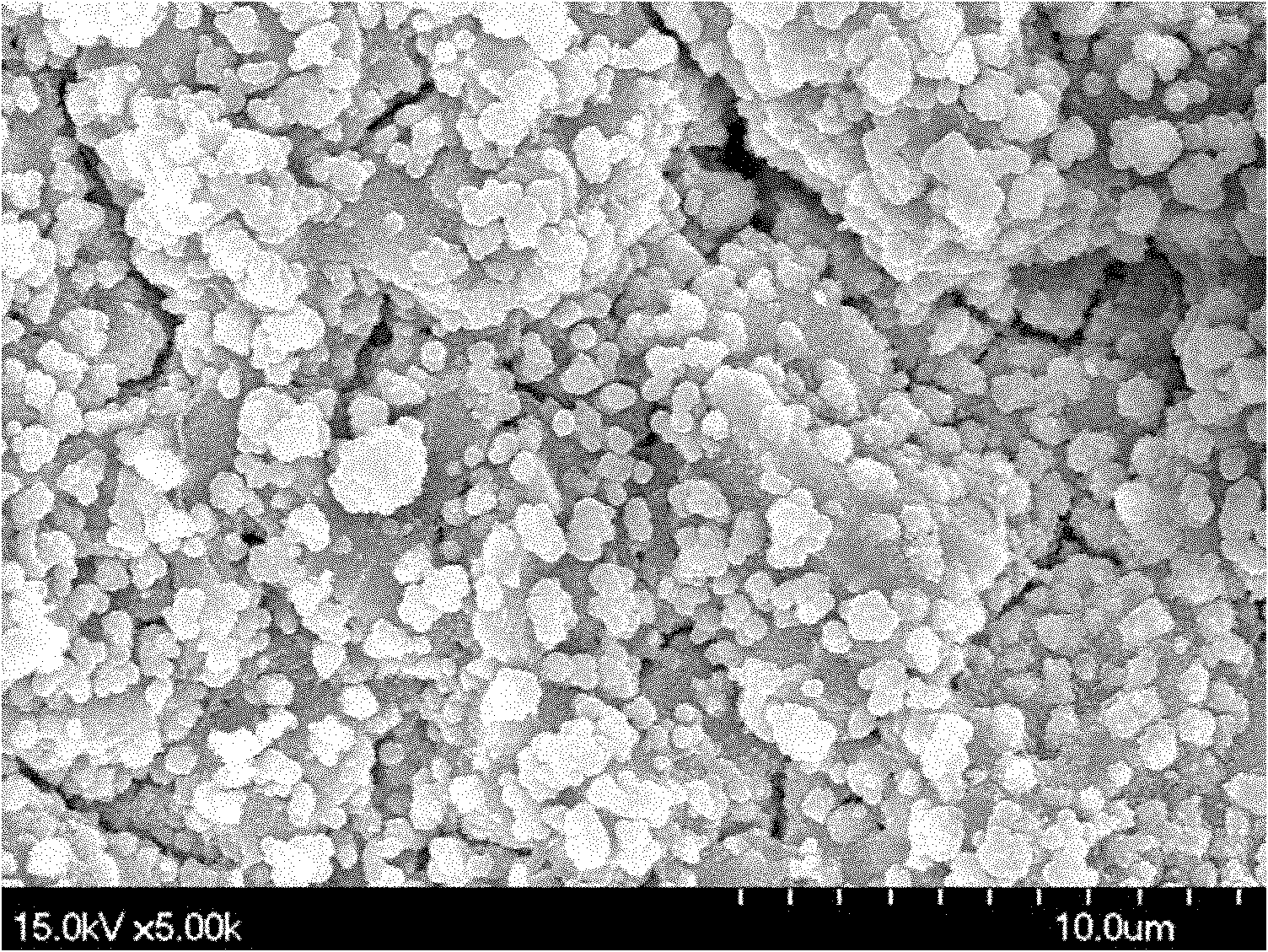 Low-temperature flue gas SCR (Selective Catalytic Reduction) denitrating catalyst and preparation method and application thereof