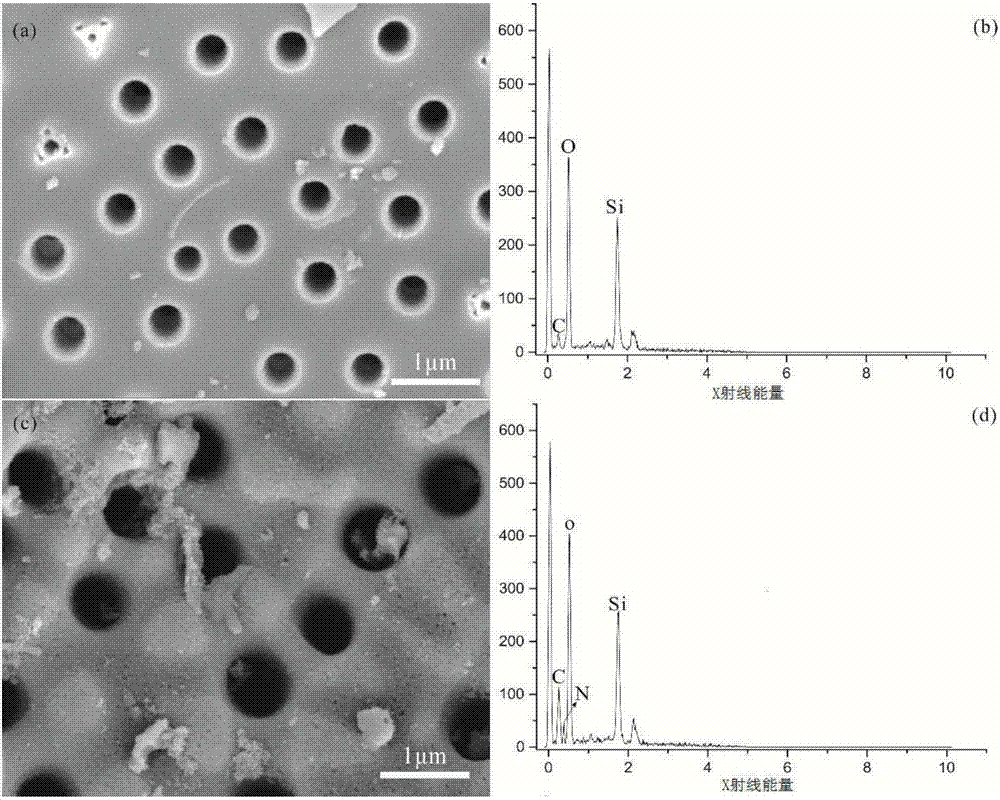 Ethylenediamine tetraacetic acid modified diatomite adsorbent as well as preparation method and application thereof to treatment of heavy metal ions in wastewater