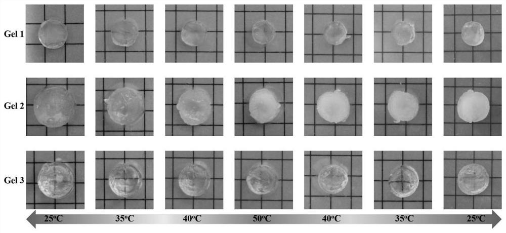 Temperature-sensitive cyclodextrin polyrotaxane, and gel and preparation method thereof