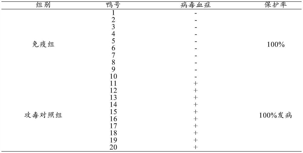 Triple inactivated vaccine for preventing and treating duck circovirus disease, novel duck reovirus disease and duck adenovirus type 3 and preparation method of triple inactivated vaccine