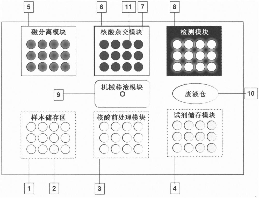 Full-automatic nucleic acid extraction hybridization capture and detection device based on magnetic separation