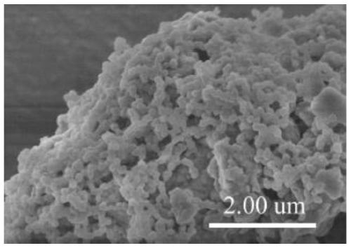 Preparation method of conjugated three-dimensional porphyrin-based covalent organic framework material