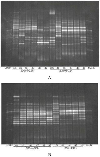 Construction method of Prevo intestinal type in-vitro simulation model